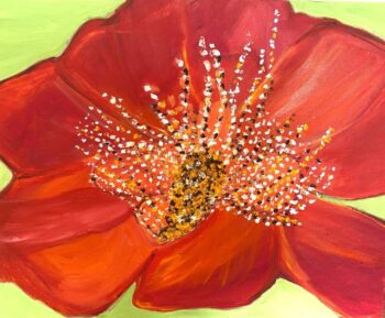 poppy painting