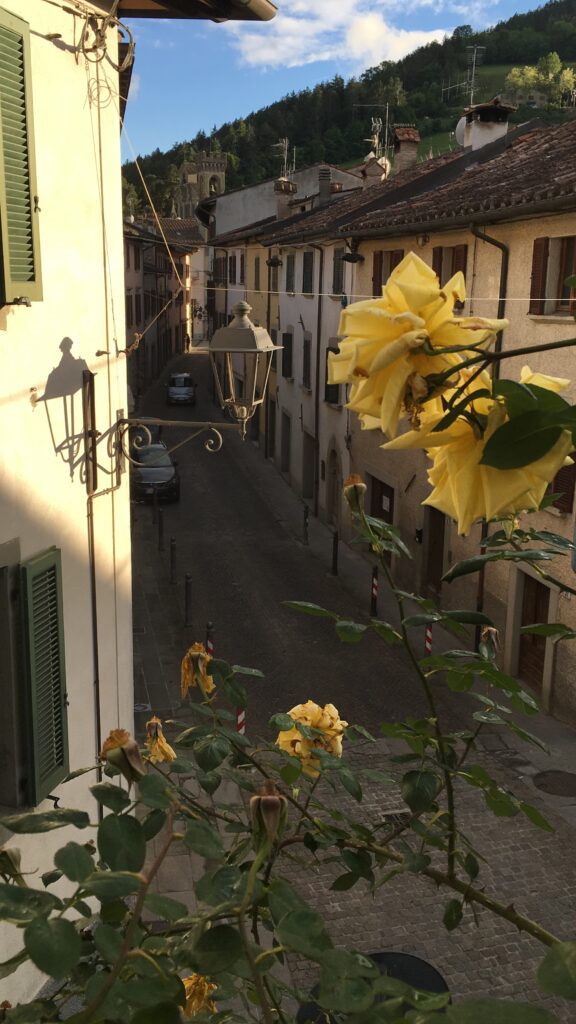 image of flowers in a street